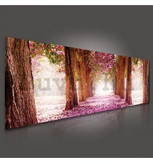 Vászonkép: Virágzó fasor (1) - 145x45 cm