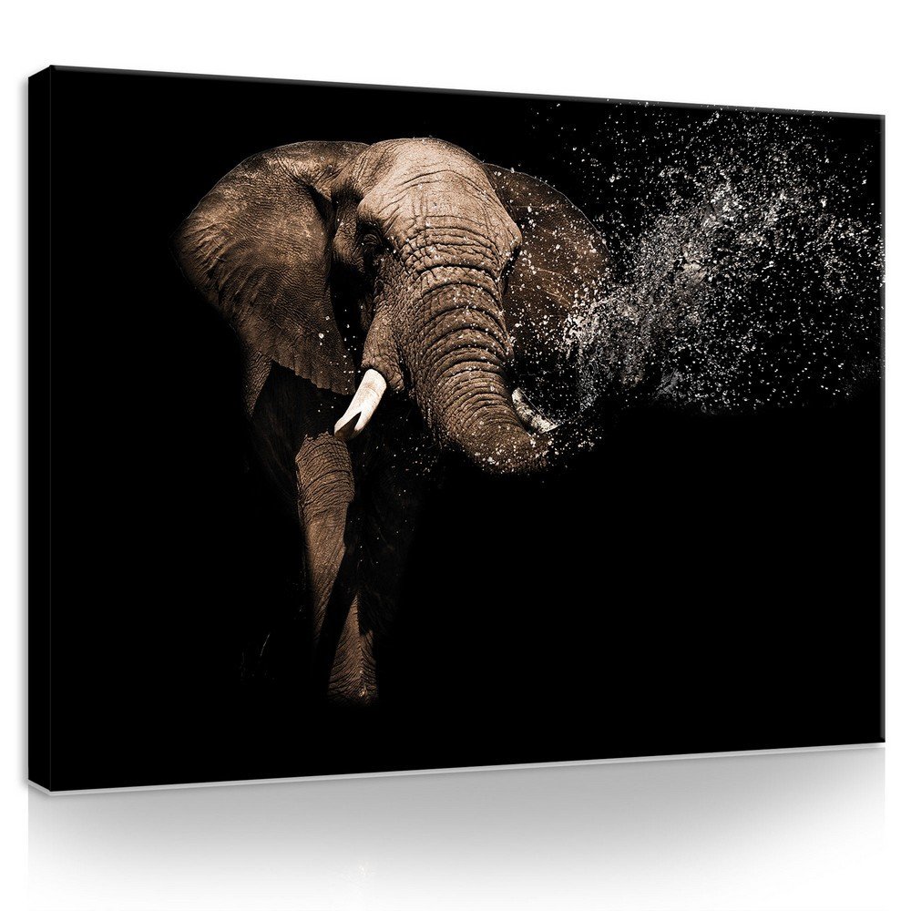 Vászonkép: Elefánt (3) - 75x100 cm