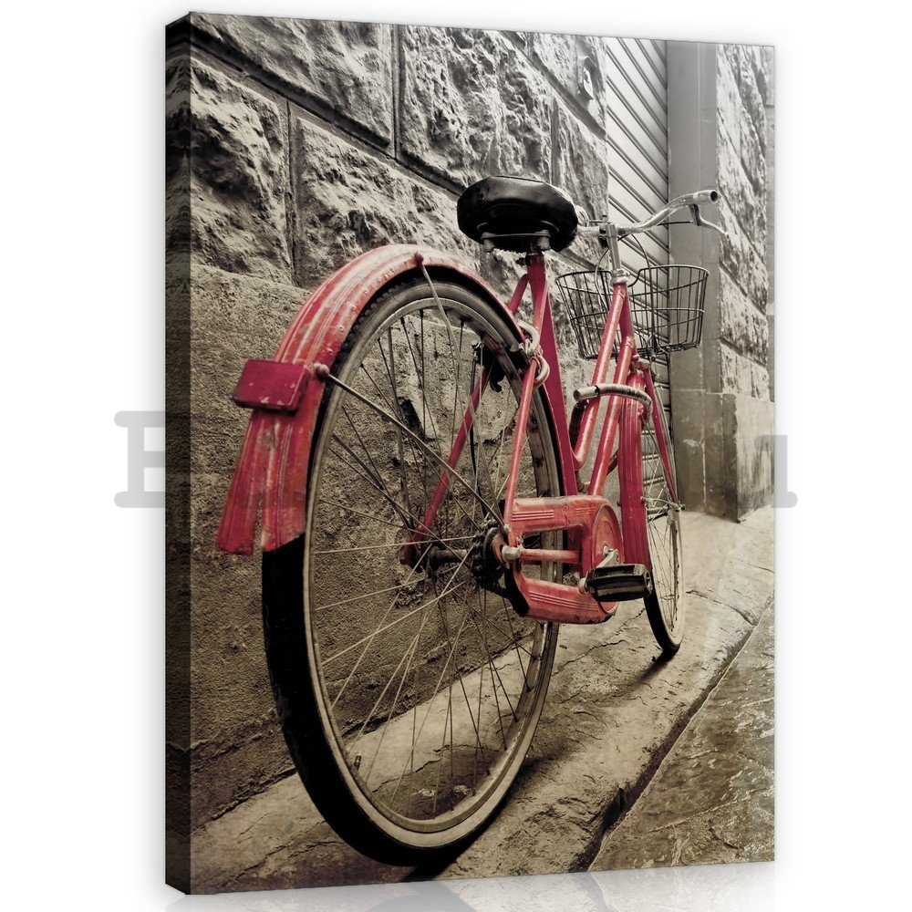 Vászonkép: Rózsaszín kerékpár - 100x75 cm