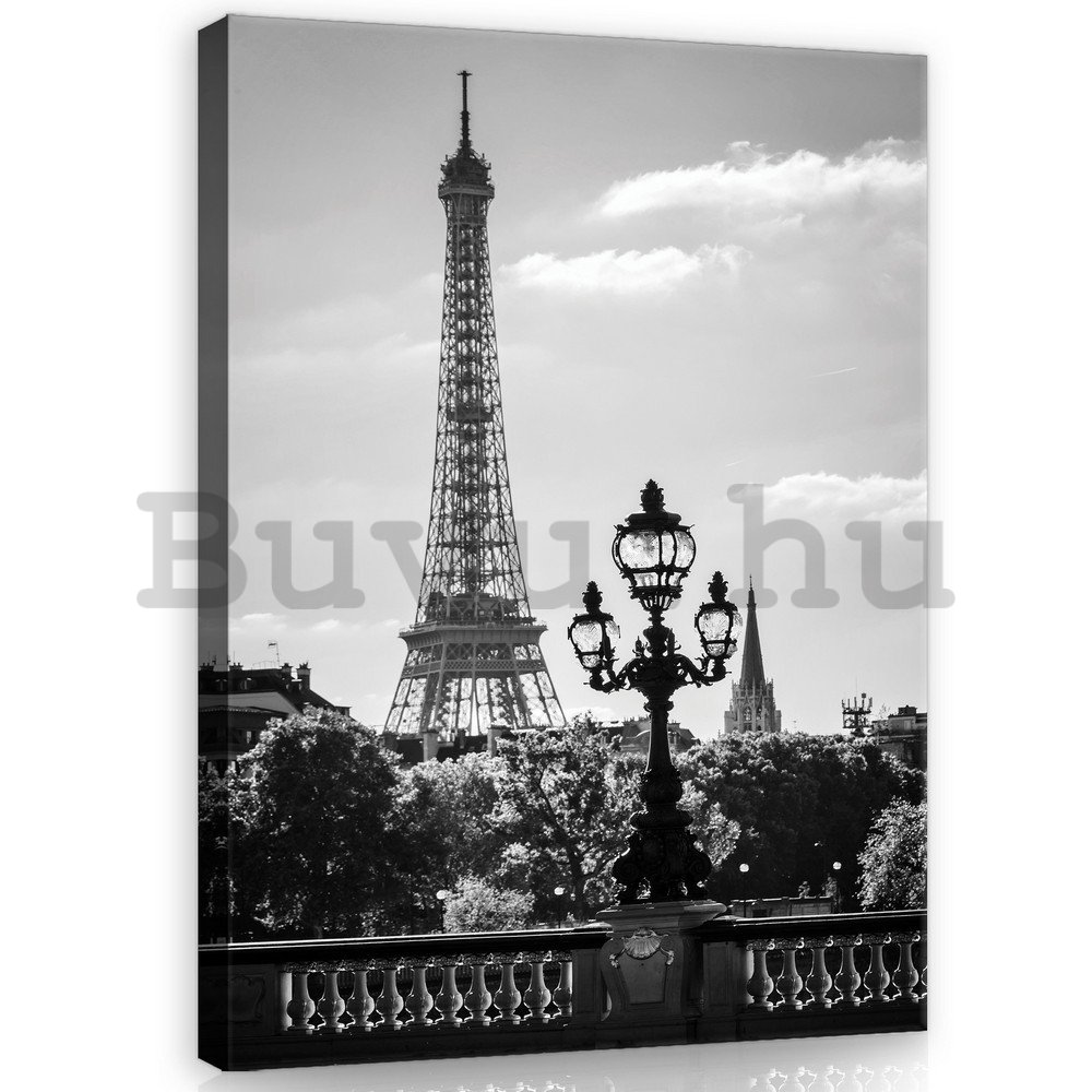 Vászonkép: Fekete-fehér Eiffel-torony - 100x75 cm
