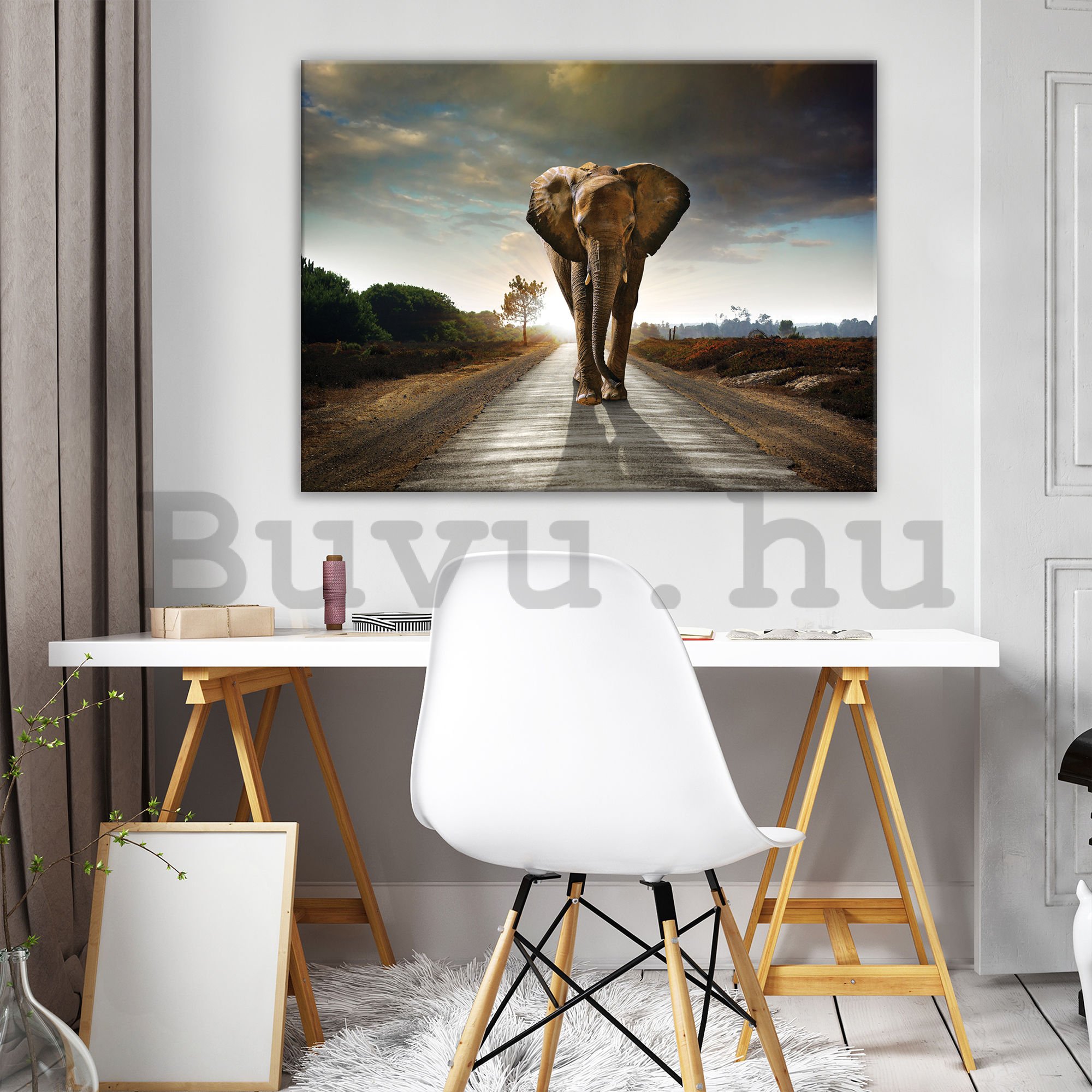 Vászonkép: Elefánt (4) - 75x100 cm