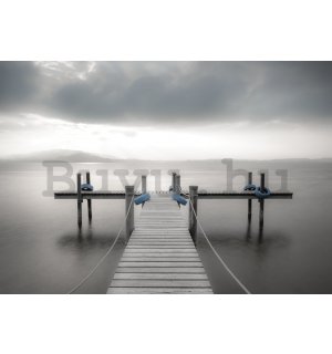 Fotótapéta: Fából készült gyaloghíd a tengerhez (fekete-fehér) - 254x368 cm