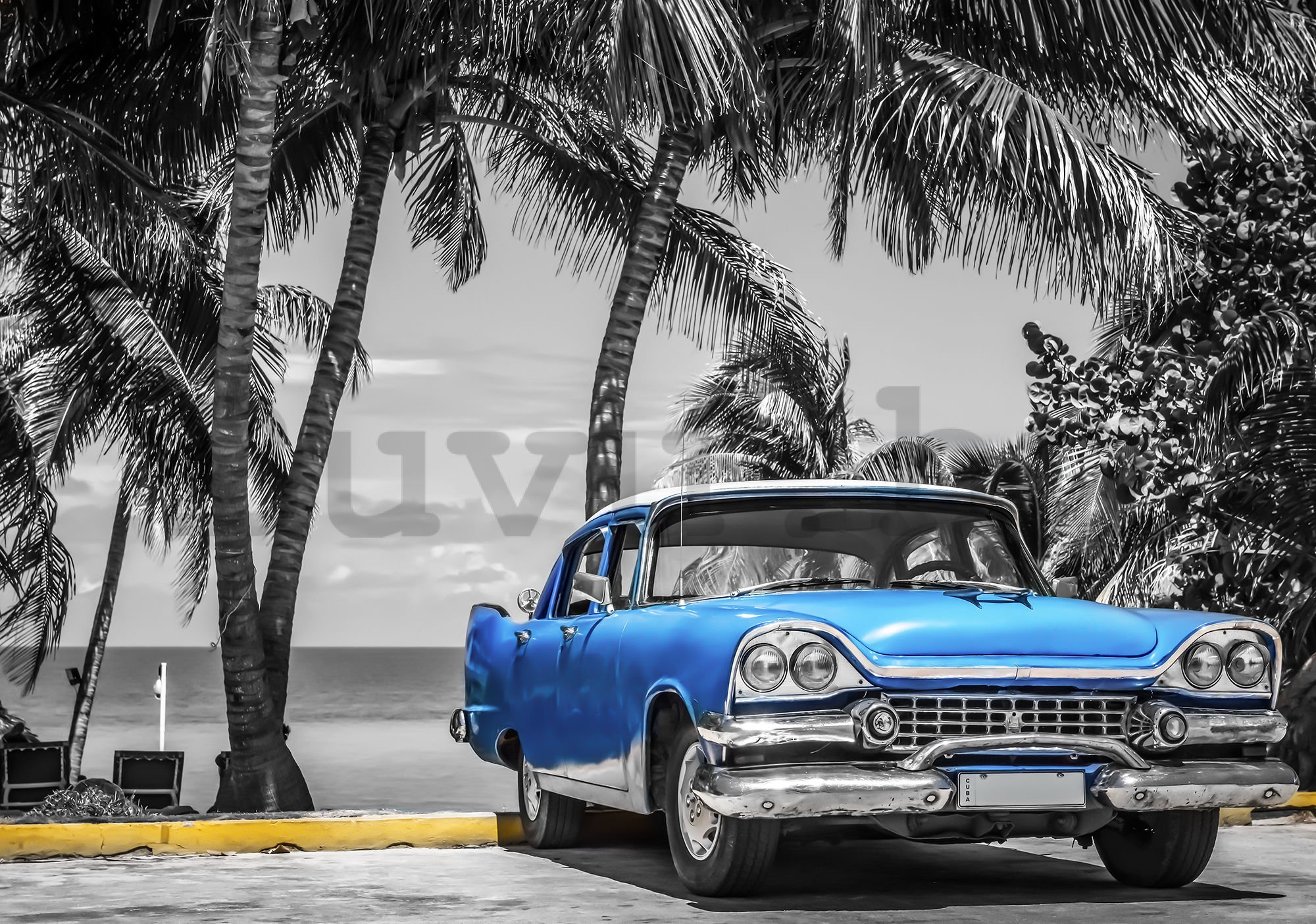 Vlies fotótapéta: Kuba kék autó a tenger mellett - 254x368 cm