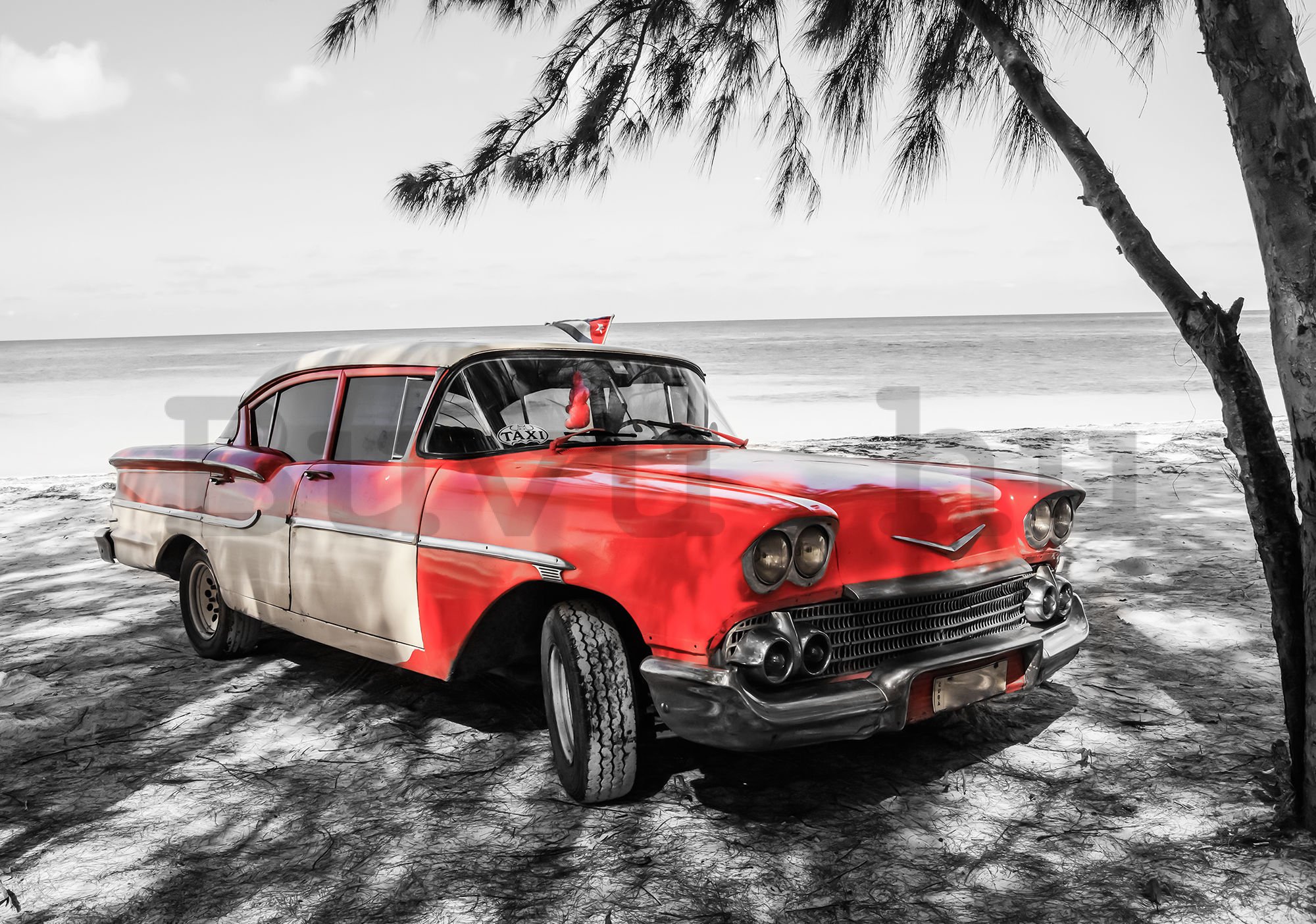 Fotótapéta: Kuba piros autó a tenger mellett - 184x254 cm