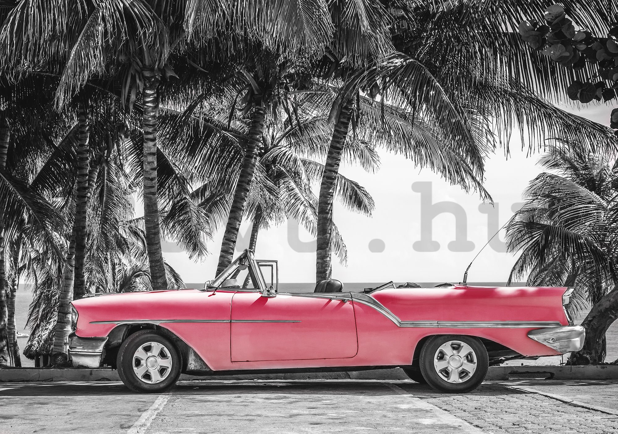 Vlies fotótapéta: Kuba piros autó - 254x368 cm