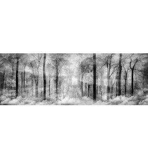 Fotótapéta: Fekete-fehér erdő - 624x219 cm