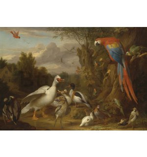 Fotótapéta: Kacsa, papagáj és más madarak a tájban - 104x152,5 cm