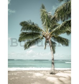 Fotótapéta: Pálmafa a tenger mellett - 254x184 cm