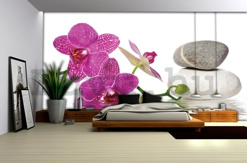 Fotótapéta: Orchidea kövekkel - 184x254 cm