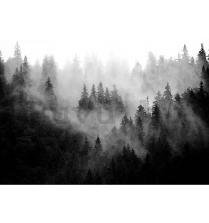 Vlies fotótapéta: Köd erdő felett (fekete-fehér) - 416x254 cm