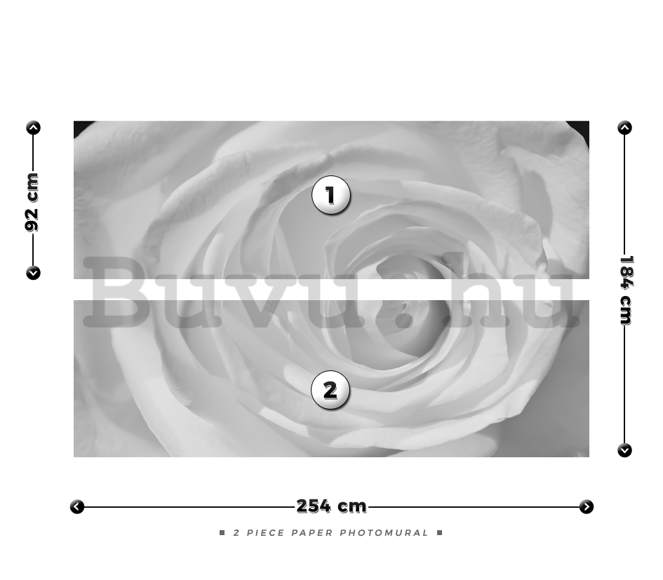 Fotótapéta: Fehér rózsa (részlet) - 184x254 cm