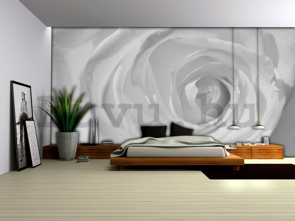 Fotótapéta: Fehér rózsa (részlet) - 254x368 cm