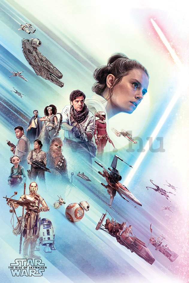 Plakát - Star Wars: Rise Of Skywalker (Ray)