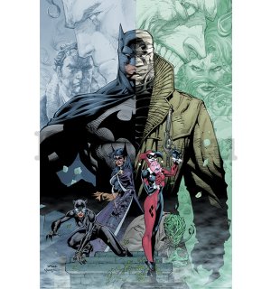 Plakát - Batman (Hush)