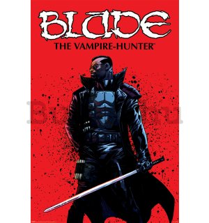 Plakát - Blade (The Vampire Hunter)
