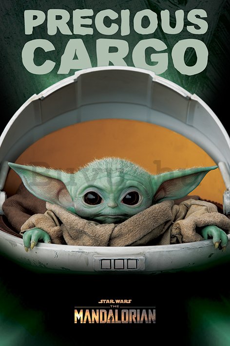 Plakát - Star Wars The Mandalorian (Precious Cargo)