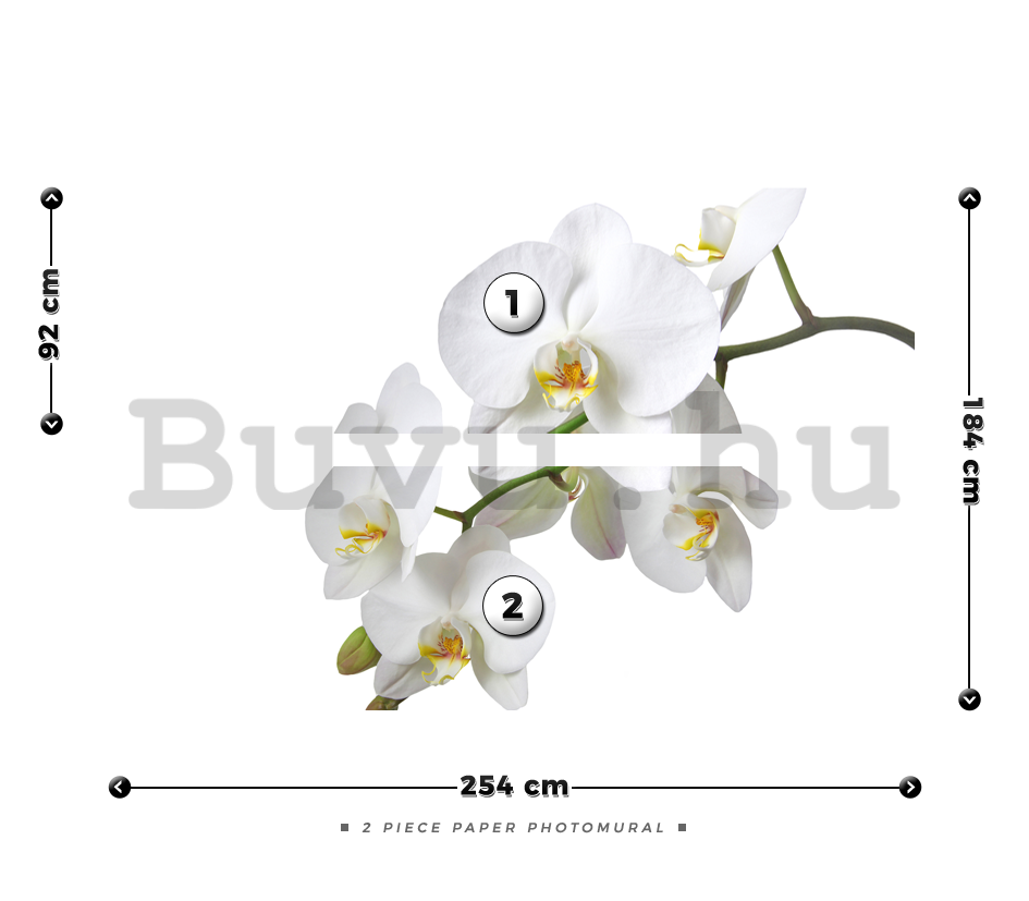 Fotótapéta: Fehér orchidea - 184x254 cm
