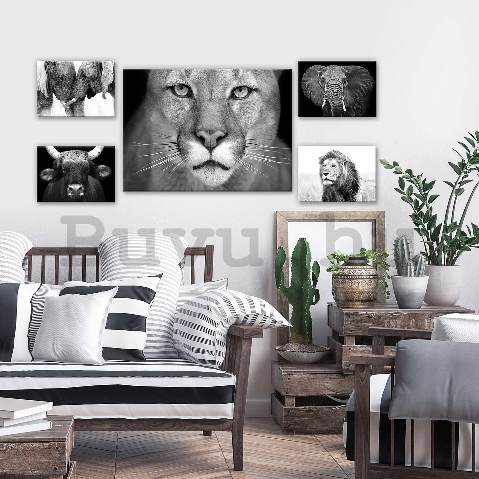 Vászonkép: Fekete-fehér oroszlán - készlet 1 db 70x50 cm és 4 db 32,4x22,8 cm