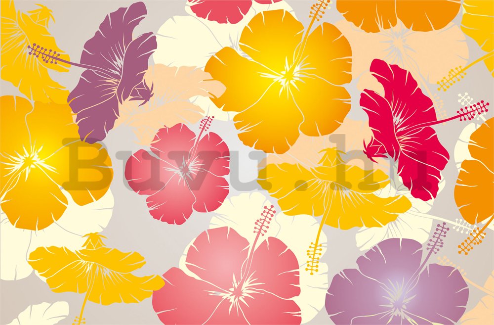 Fotótapéta: Élénk színű virágok - 184x254 cm