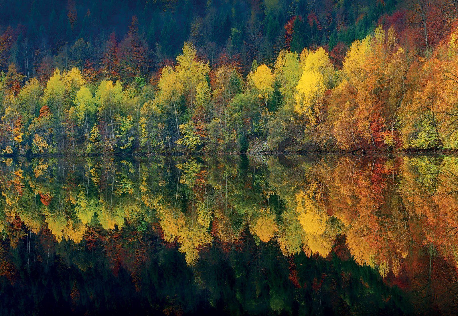 Fotótapéta: Őszi erdő és a tó - 368x254cm