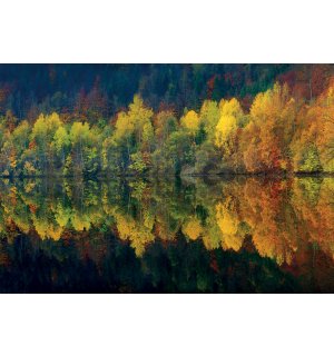 Fotótapéta: Őszi erdő és a tó - 368x254cm