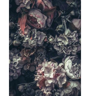 Fotótapéta: Virágkombináció (2) - 184x254 cm