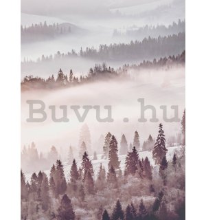 Fotótapéta: Ködös erdő - 184x254 cm