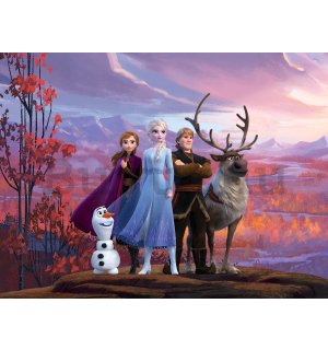 Vlies fotótapéta: Frozen, Jégvarázs II - 360x270 cm