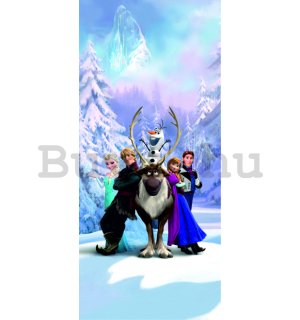 Vlies fotótapéta: Frozen, Jégvarázs - 90x202 cm