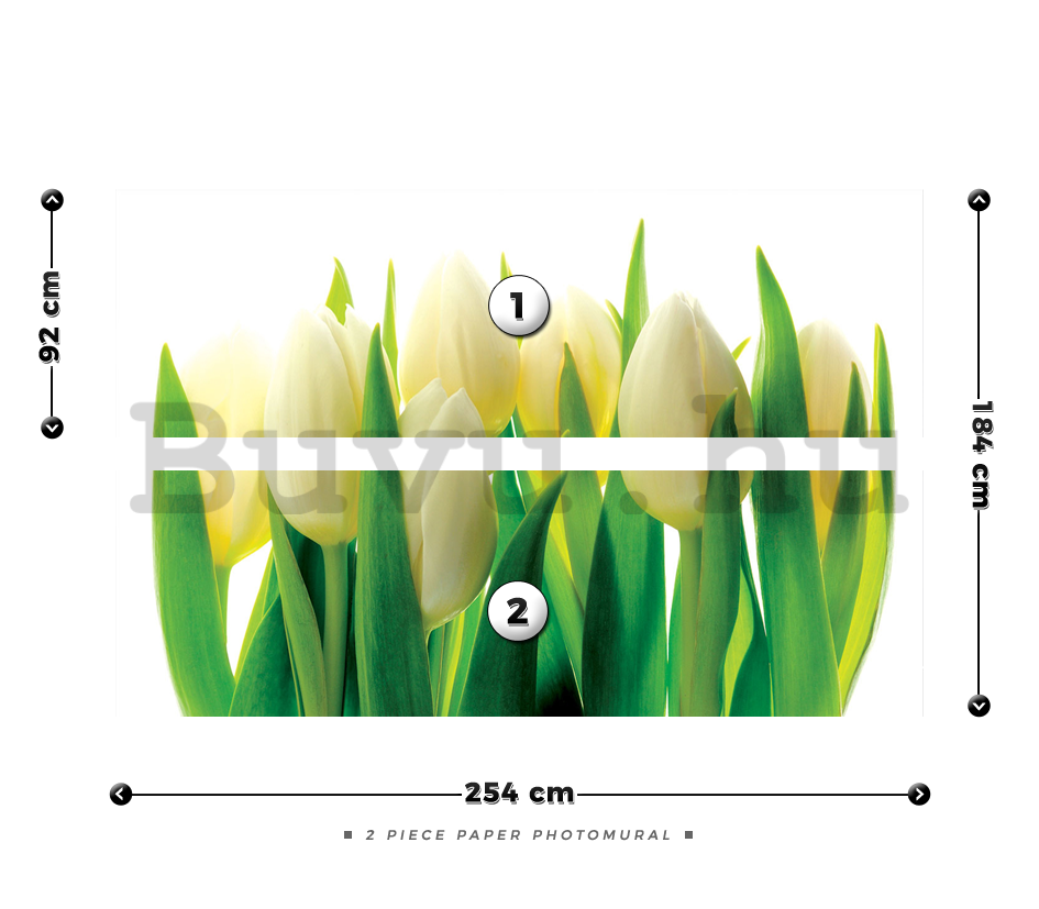 Fotótapéta: Fehér tulipánok (1) - 184x254 cm