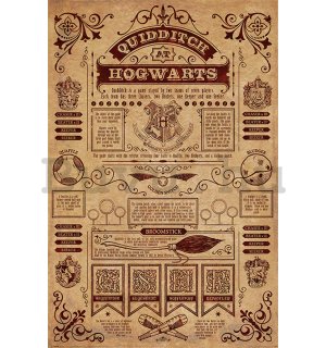Plakát - Harry Potter (Quidditch At Hogwarts) 