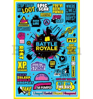 Plakát - Battle Royale (Infographic) 