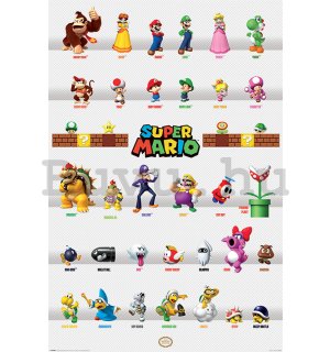 Plakát - Super Mario (Character Parade) 