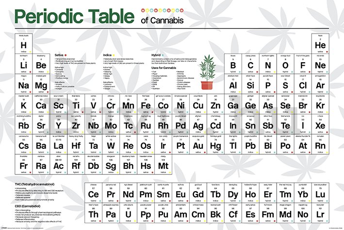 Plakát - Periodic Table (Cannabis) 