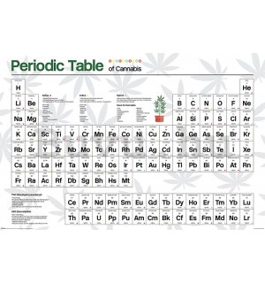 Plakát - Periodic Table (Cannabis) 