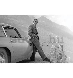 Plakát - James Bond (Connery & Aston Martin) 
