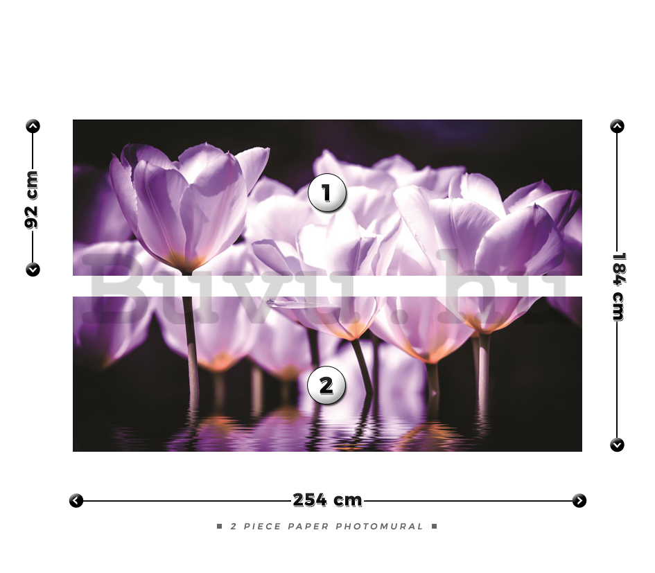 Fotótapéta: Lila tulipánok (2) - 184x254 cm