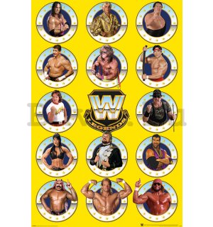 Plakát - WWE (Legends Chrome)