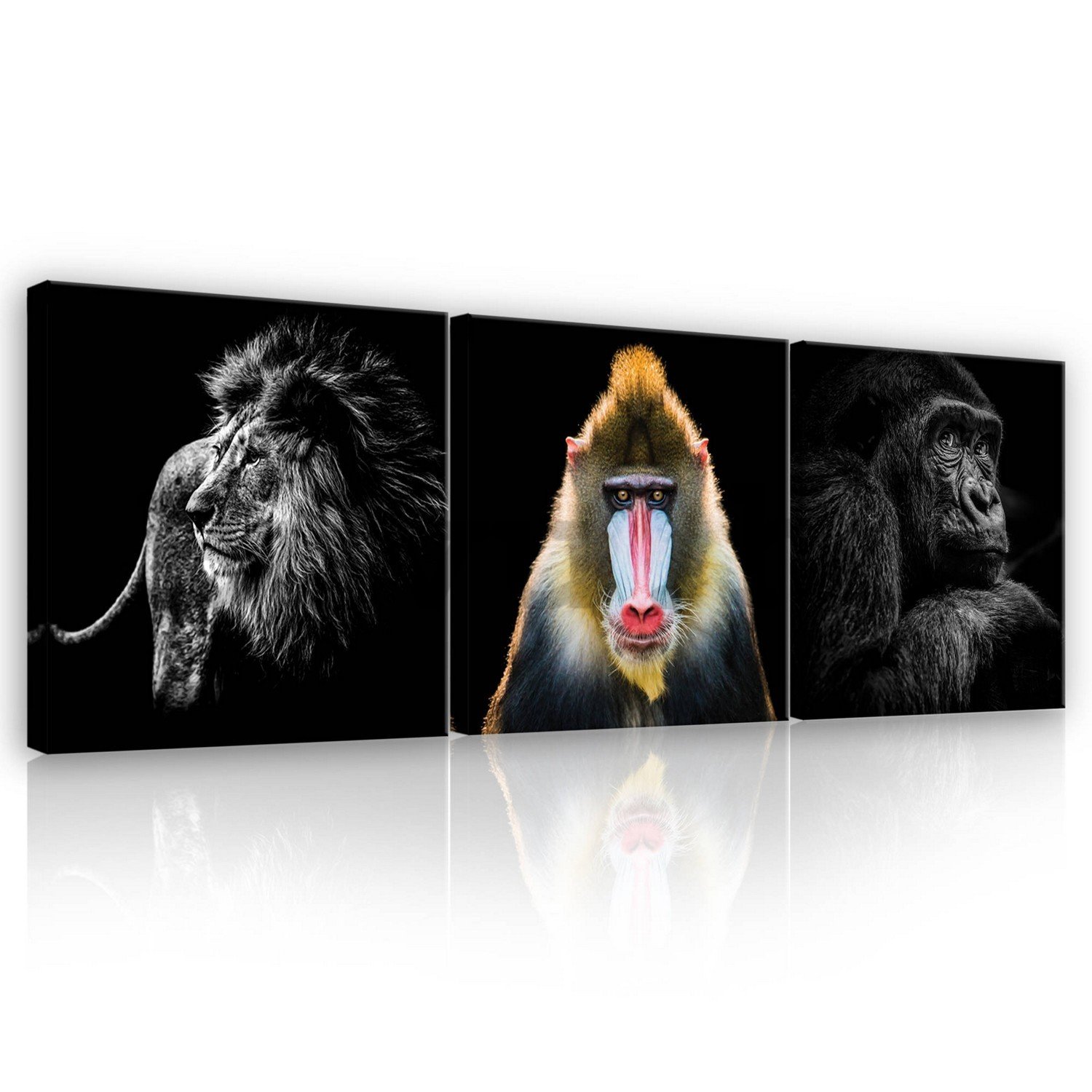 Vászonkép: Oroszlán, Mandrill és Gorilla - készlet 3db 25x25cm