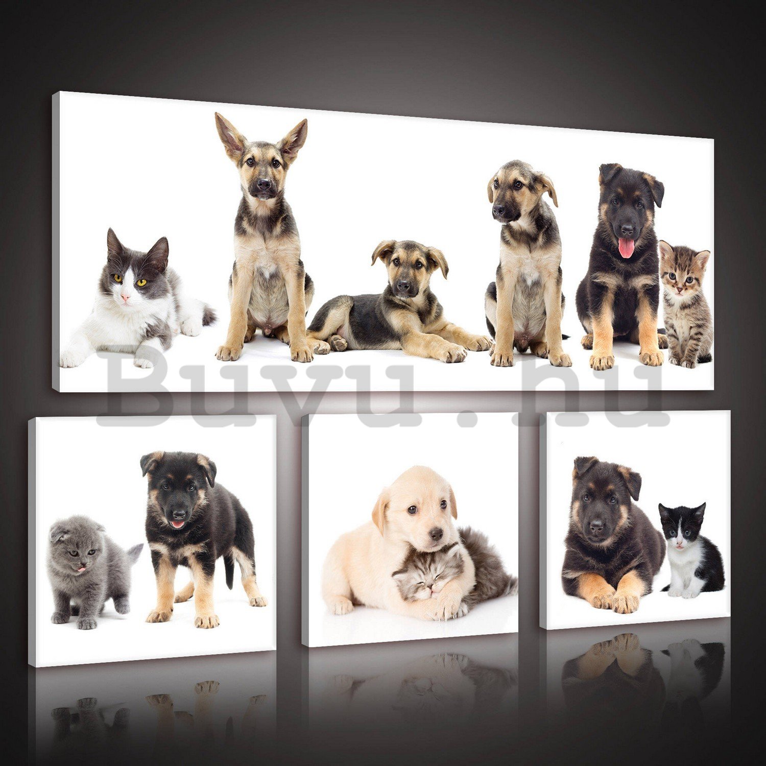 Vászonkép: Kutyák (1) - készlet 1 db 80x30 cm és 3 db 25,8x24,8 cm