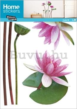 Falmatrica - Lotus