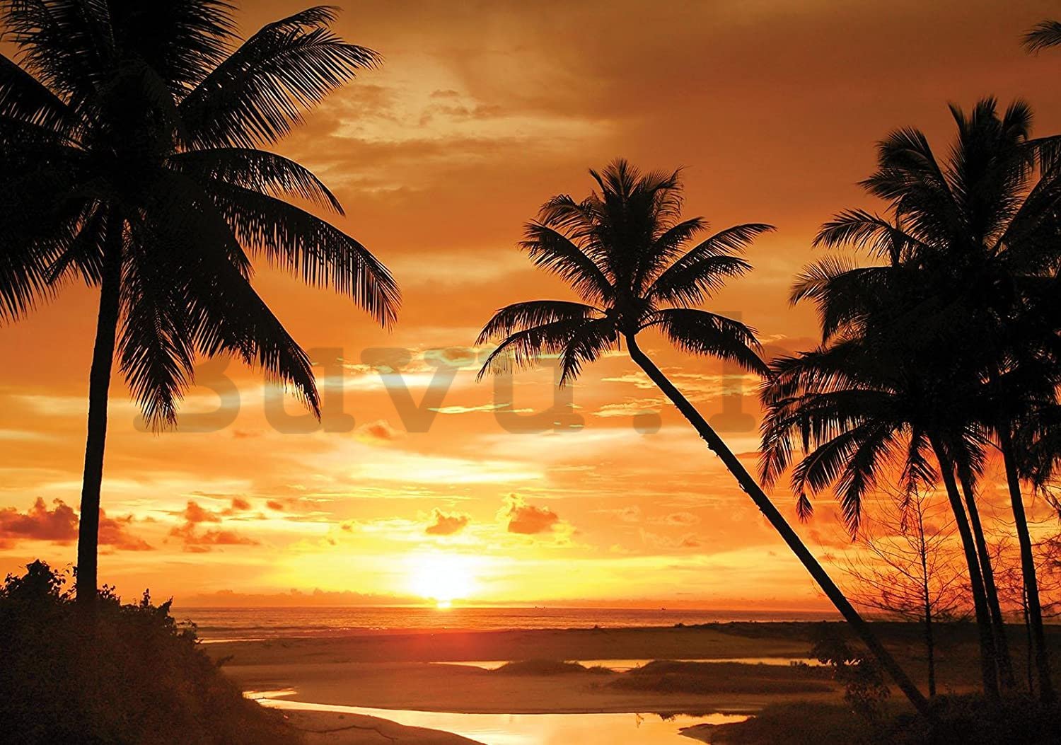 Fotótapéta: Trópusi naplemente - 368x254 cm