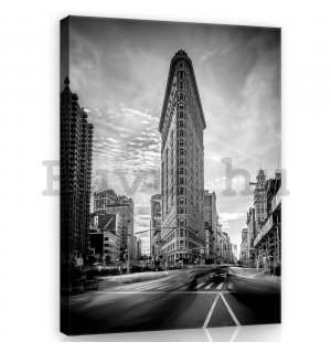 Vászonkép: Flatiron Building (fekete-fehér) - 100x75 cm