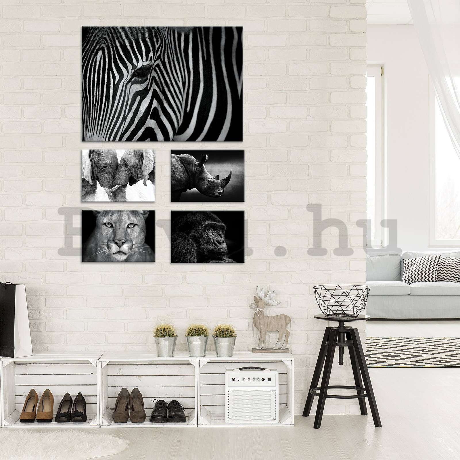 Vászonkép: Fekete-fehér állatok (2) - készlet 1 db 70x50 cm és 4 db 32,4x22,8 cm