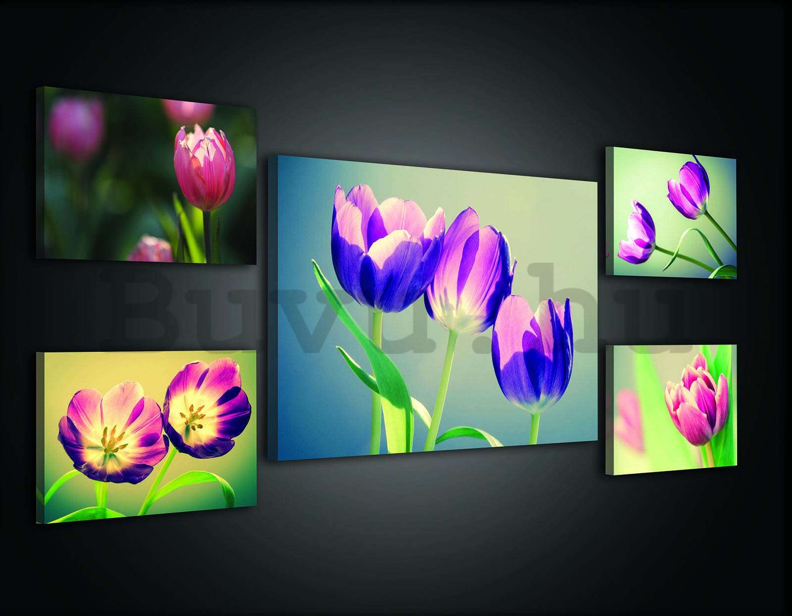 Vászonkép: Tulipán (2)  - készlet 1 db 70x50 cm és 4 db 32,4x22,8 cm