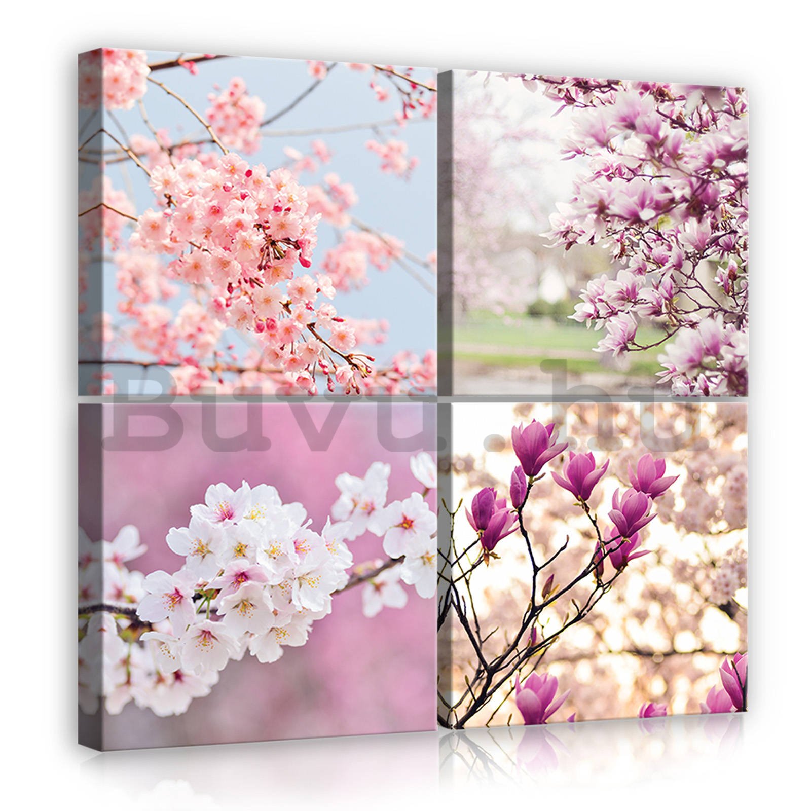 Vászonkép: Virágzó cseresznye (1) - készlet 4db 25x25cm