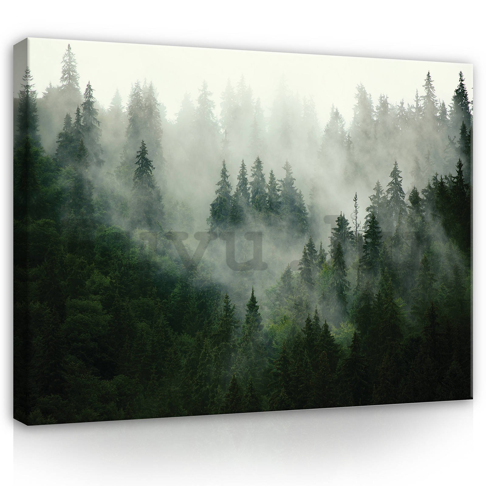 Vászonkép: Köd az erdő felett (1) - 100x75 cm