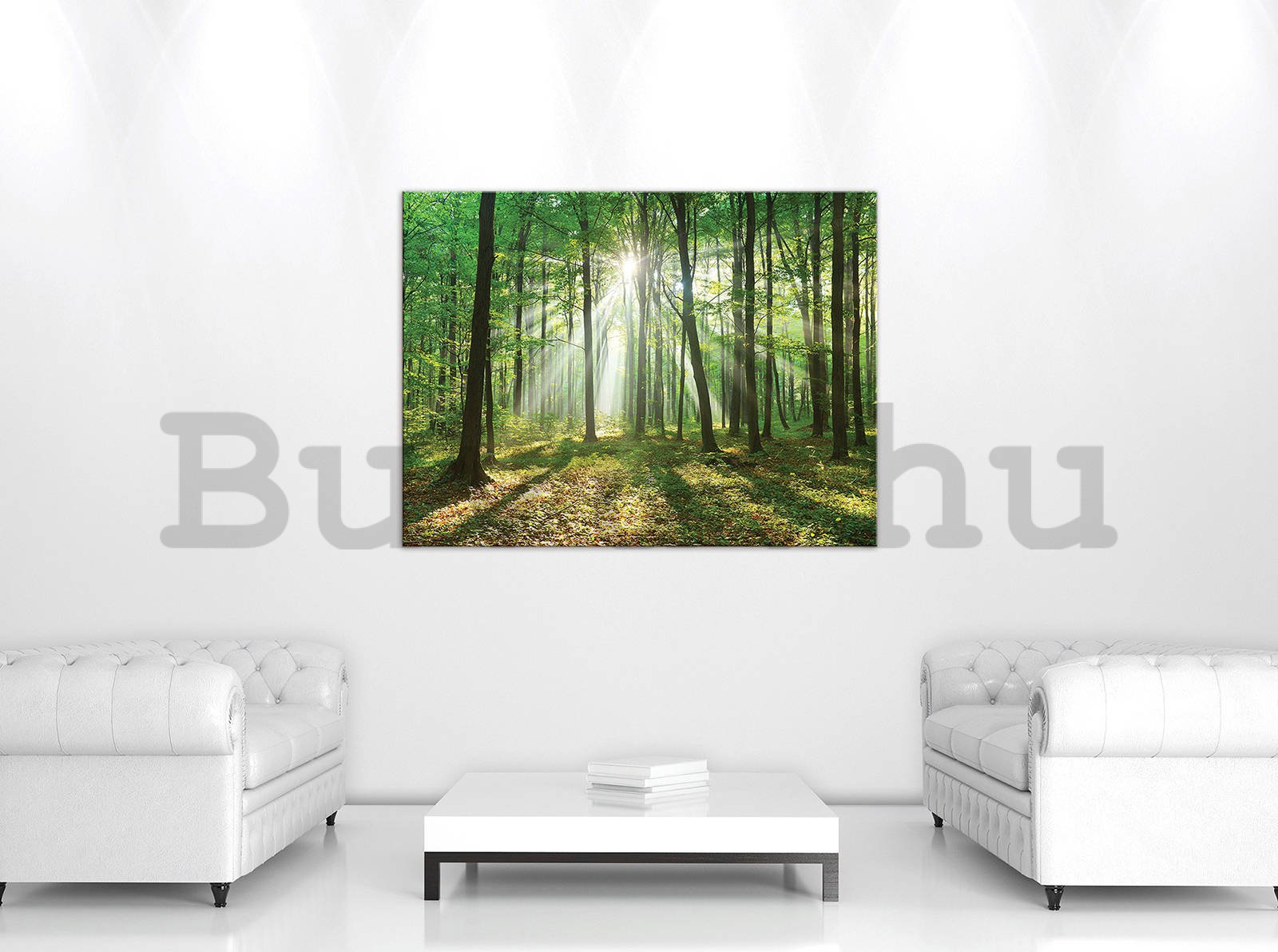 Vászonkép: Napfény az erdőben (3) - 80x60 cm
