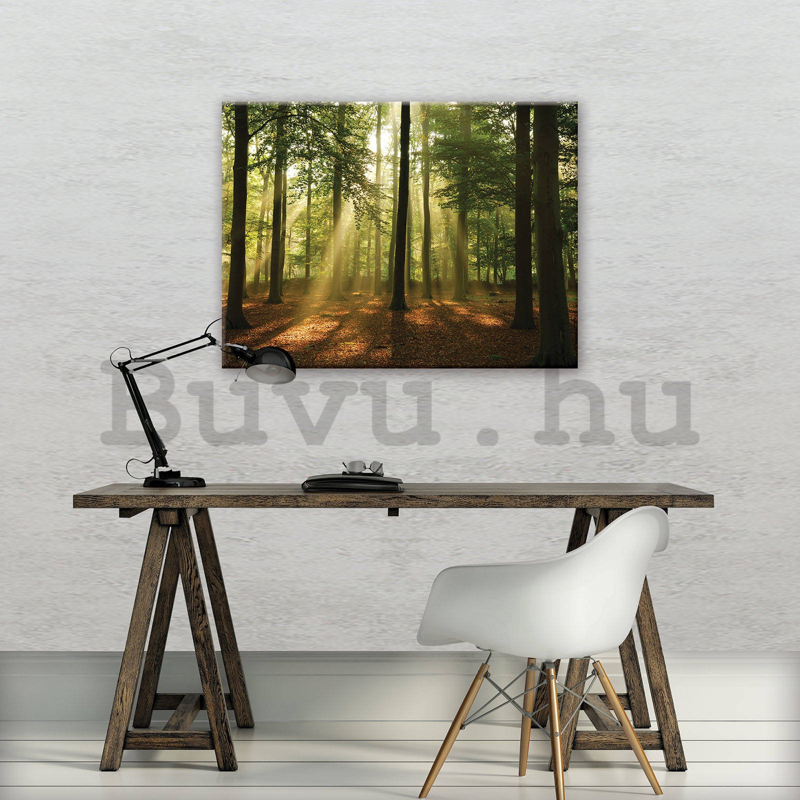 Vászonkép: Napfény az erdőben (4) - 80x60 cm