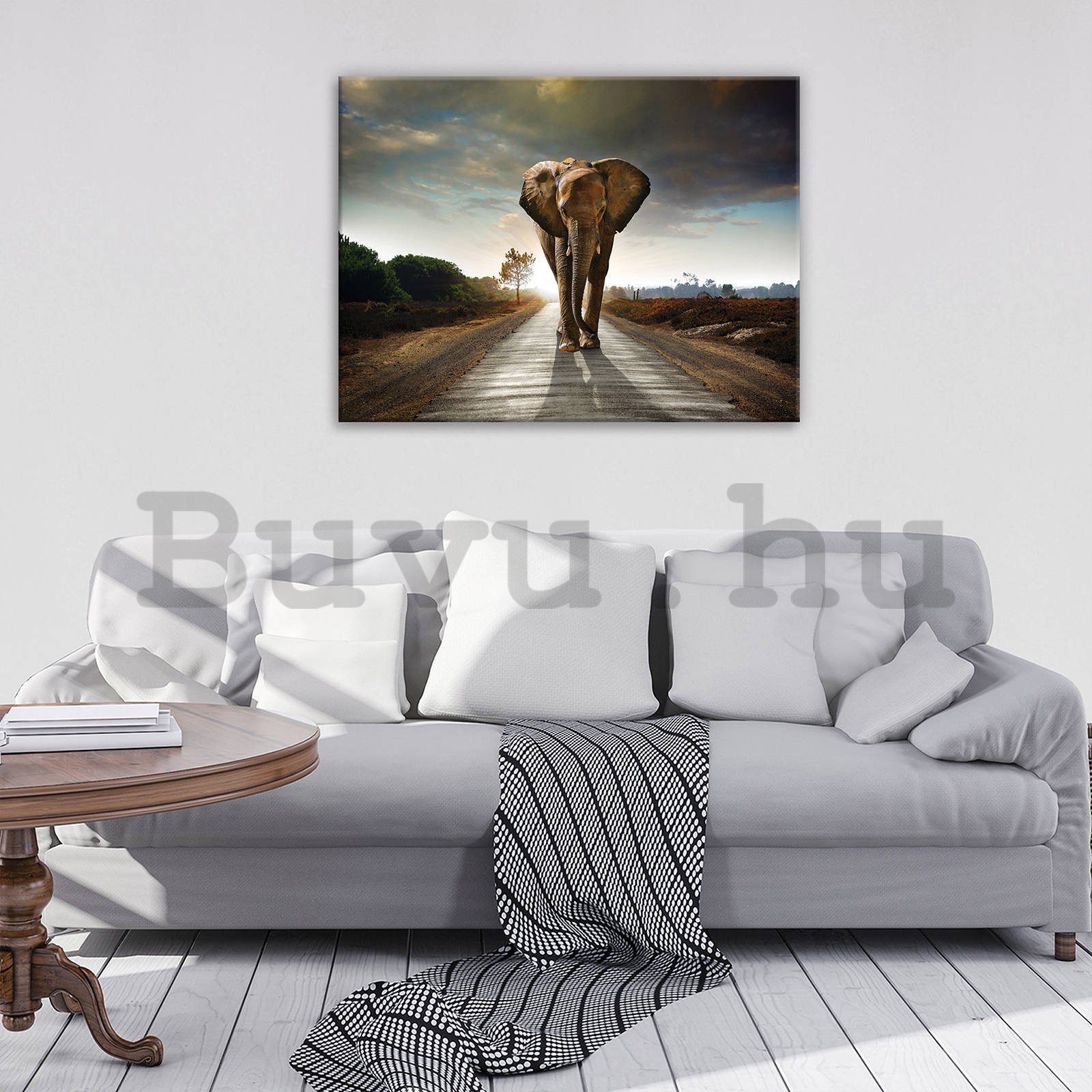 Vászonkép: Elefánt (4) - 80x60 cm